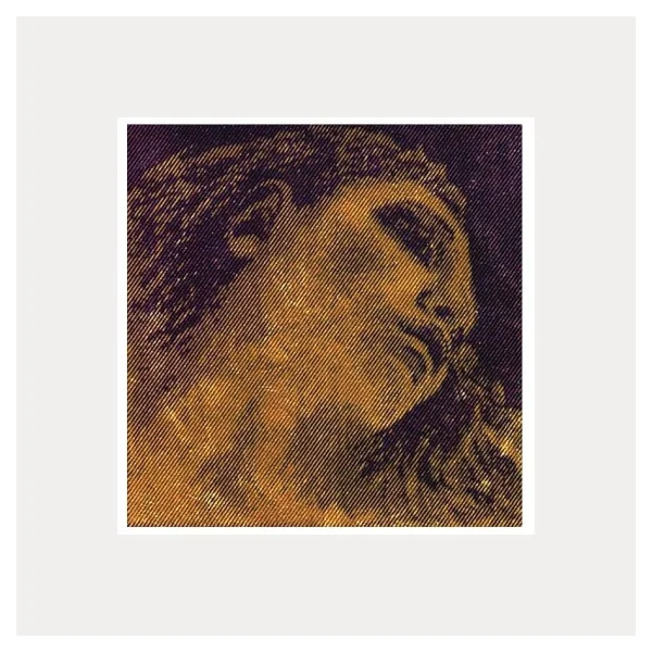 CORDA VIOLÍ PIRASTRO EVAH PIRAZZI GOLD 3a RE