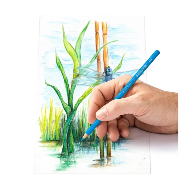 Crayons de couleur aquarellables STAEDTLER « Watercolour », 24 pc.