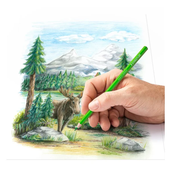 Crayons de couleur STAEDTLER, 72 pc.