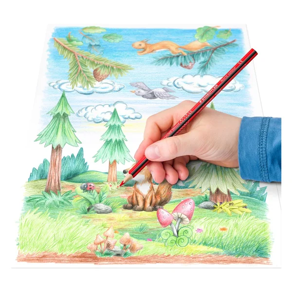 Crayons de couleur STAEDTLER Noris colour, 12 pc.
