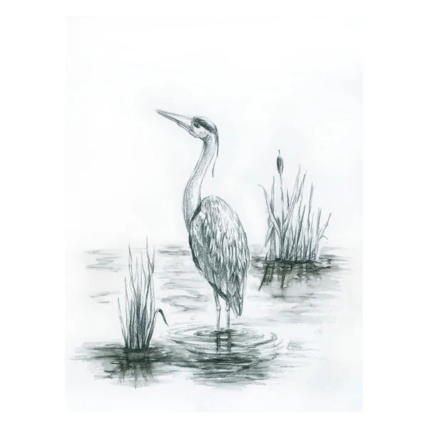 Crayons graphite aquarellables STAEDTLER « Watercolour »