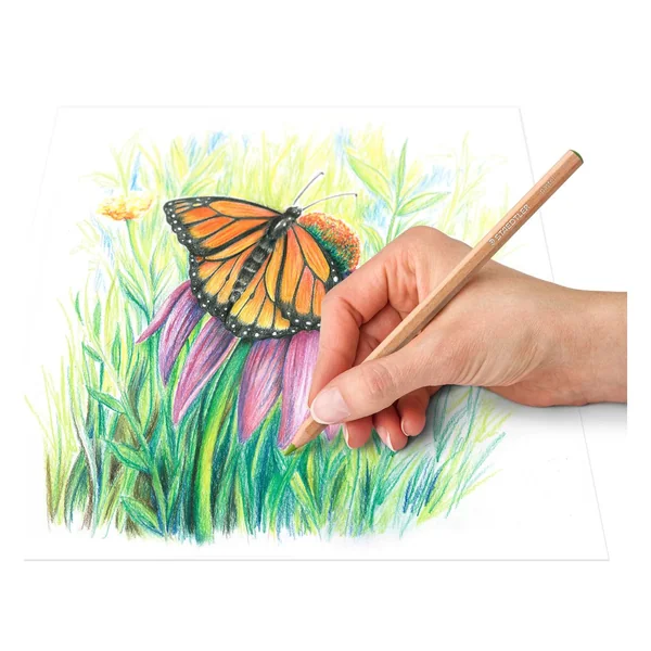Crayons pastels STAEDTLER
