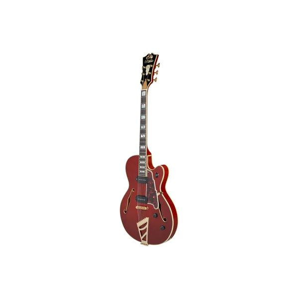 D'ANGELICO Excel 59 Viola