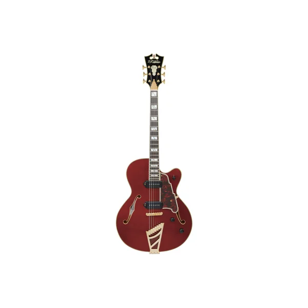 D'ANGELICO Excel 59 Viola
