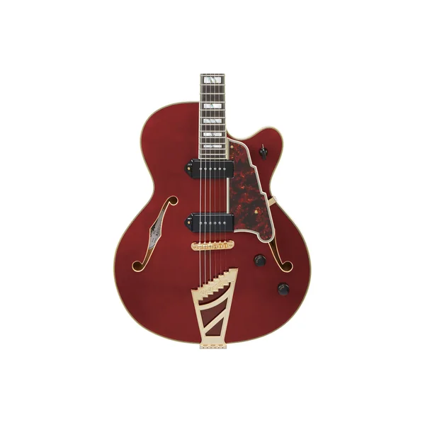 D'ANGELICO Excel 59 Viola