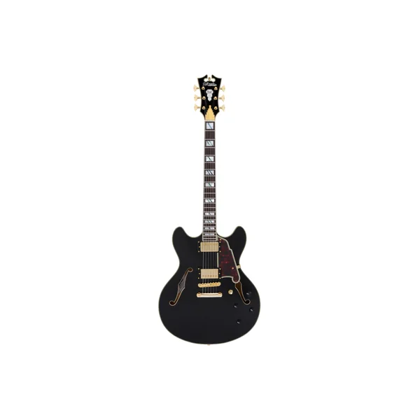 D'ANGELICO Excel DC Solid Black