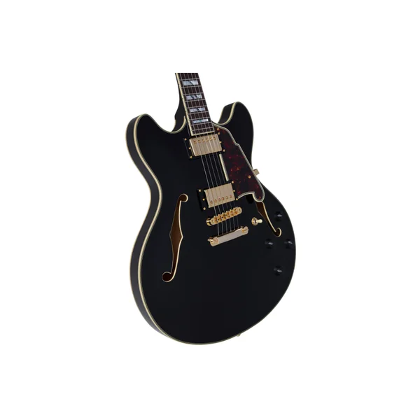 D'ANGELICO Excel DC Solid Black