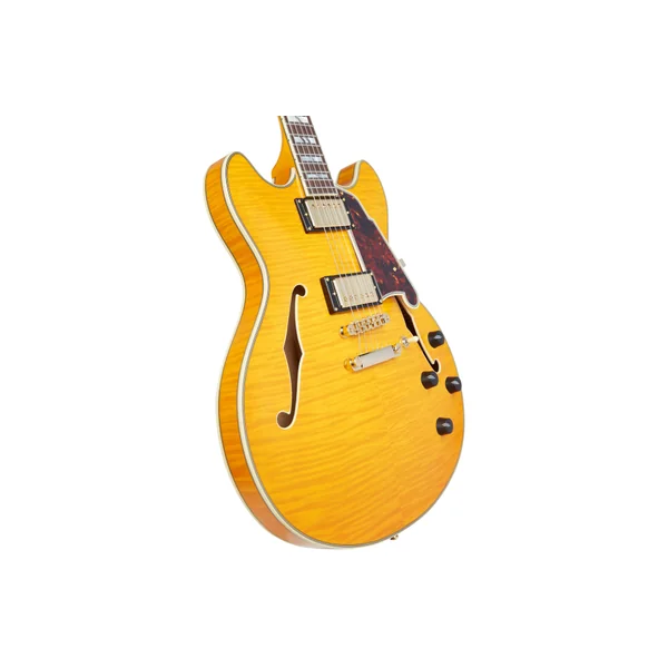 D'ANGELICO Excel DC Vintage Natural