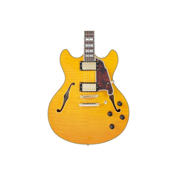 D'ANGELICO Excel DC Vintage Natural