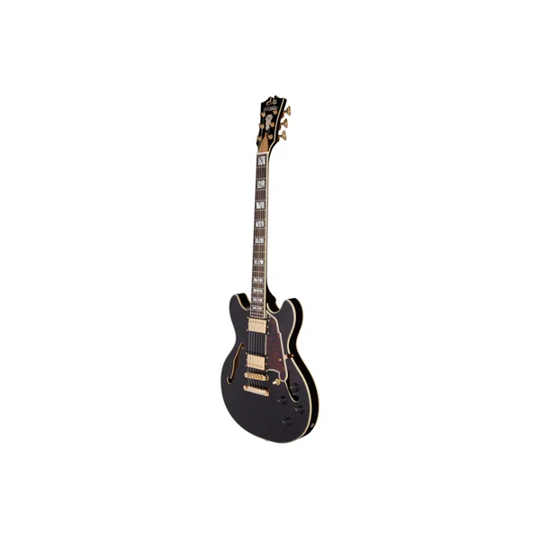 D'ANGELICO Excel Mini DC Black