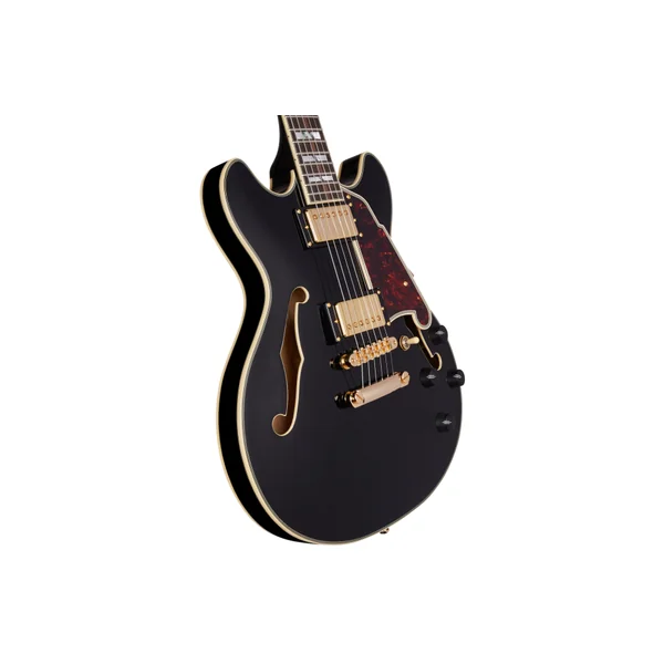 D'ANGELICO Excel Mini DC Black