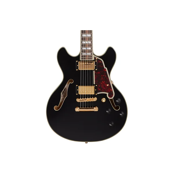 D'ANGELICO Excel Mini DC Black