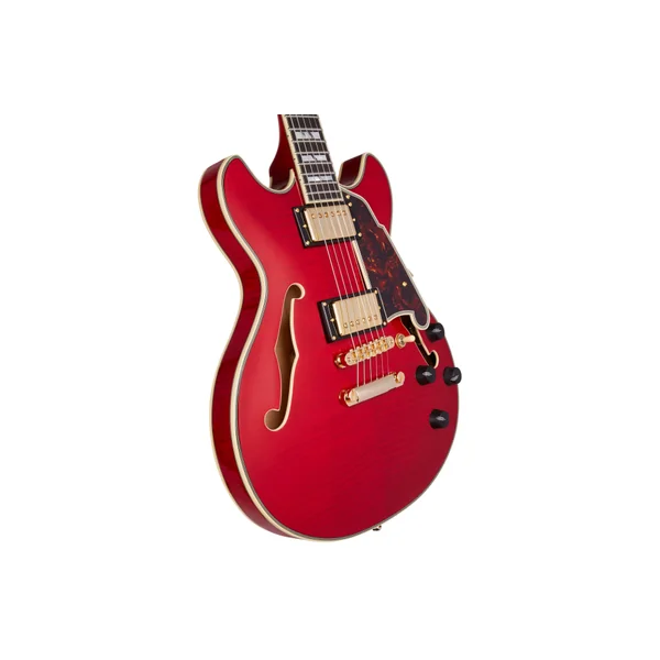 D'ANGELICO Excel Mini DC Trans Cherry