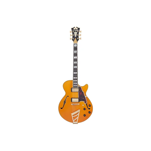 D'ANGELICO Excel SS Vintage Natural