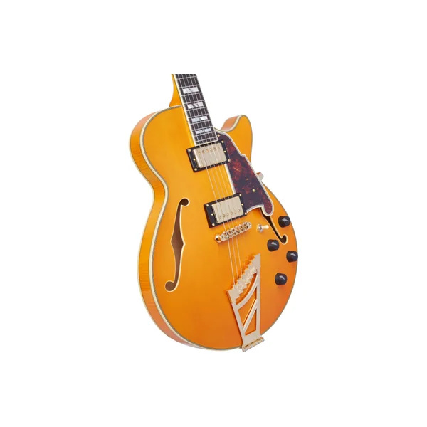 D'ANGELICO Excel SS Vintage Natural