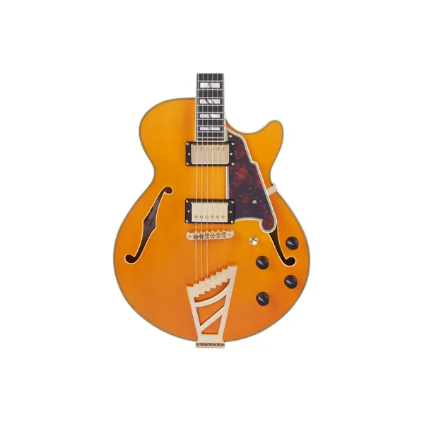 D'ANGELICO Excel SS Vintage Natural
