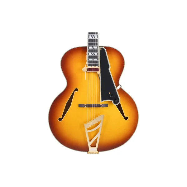 D'ANGELICO Excel Style B Dark Iced Tea Burst