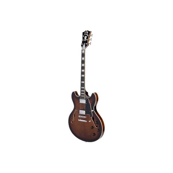D'ANGELICO Premier DC Brown Burst
