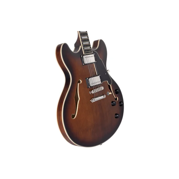 D'ANGELICO Premier DC Brown Burst