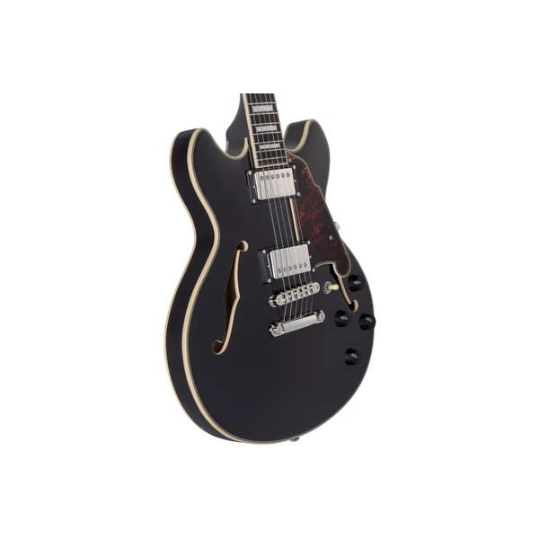 D'ANGELICO Premier Mini DC Black Flake