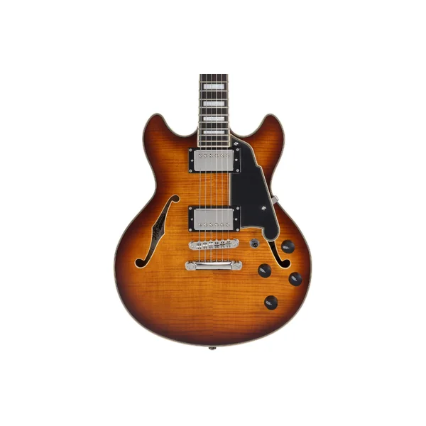 D'ANGELICO Premier Mini DC Dark Iced Tea Burst