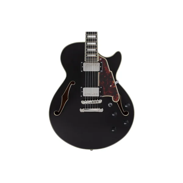 D'ANGELICO Premier SS Black Flake