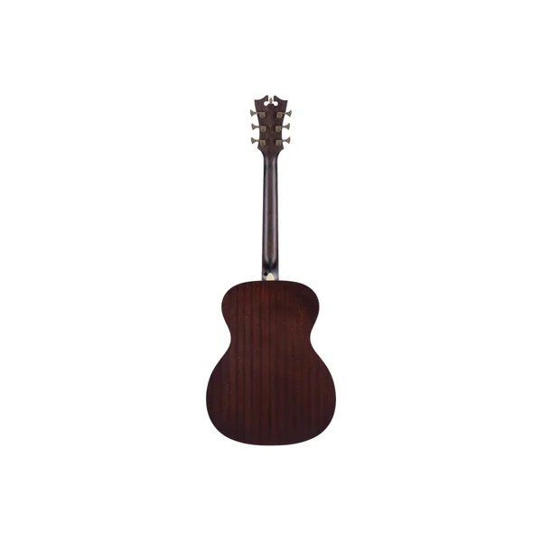 D'ANGELICO Premier Tammany Aged Burst