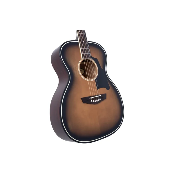 D'ANGELICO Premier Tammany Aged Burst