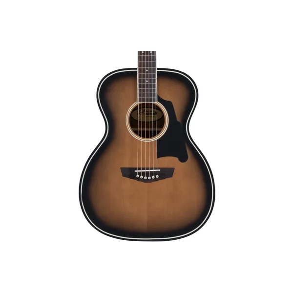 D'ANGELICO Premier Tammany Aged Burst
