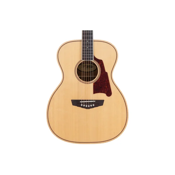 D'ANGELICO Premier Tammany Natural