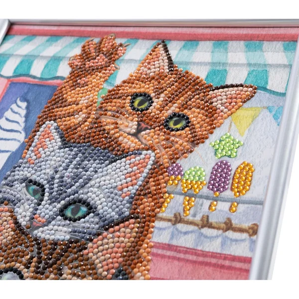 Diamond Painting « Picture Frame Crystal Art »