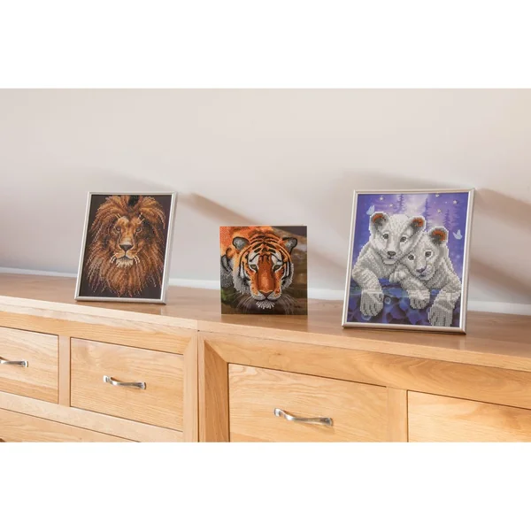 Diamond Painting « Picture Frame Crystal Art »