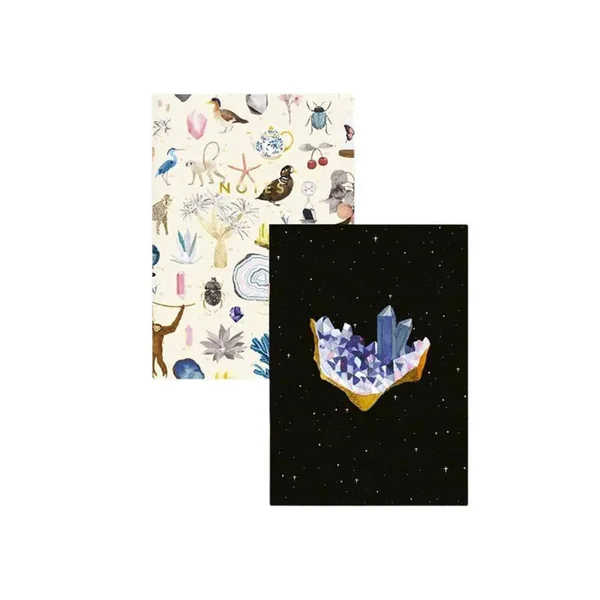 Duo de Carnets A6 Curiosity - ATWS