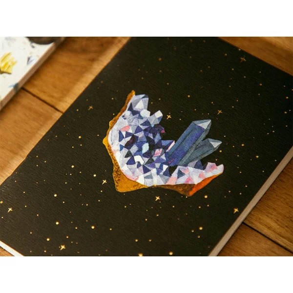 Duo de Carnets A6 Curiosity - ATWS