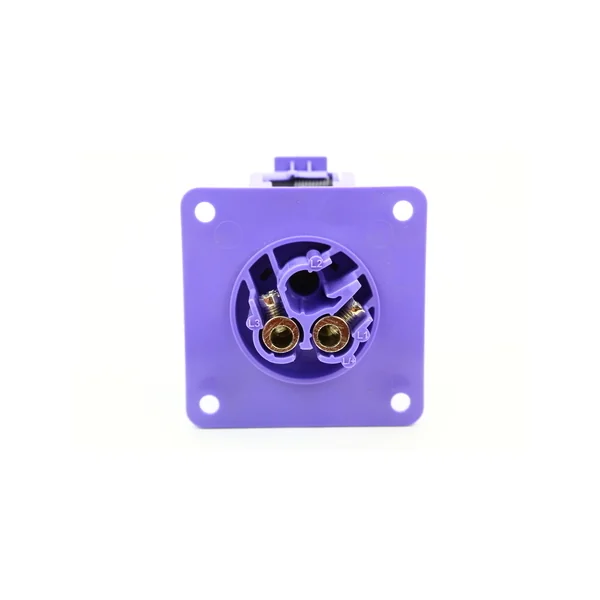 Embase encastrable femelle secteur NF 24V 16A avec volet IP44 2 pôles