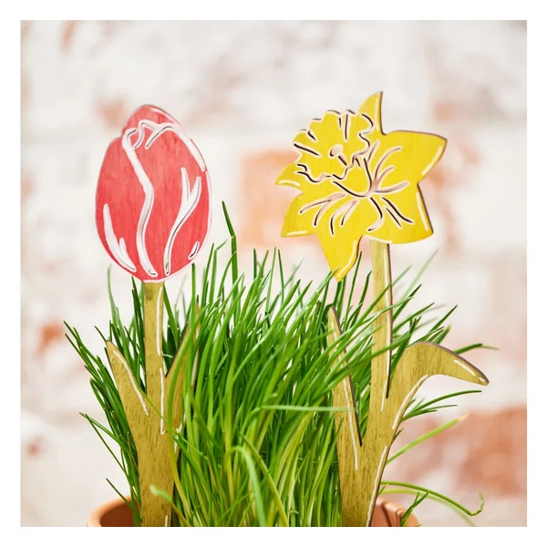 Escargots VBS « Sunny et Flower »