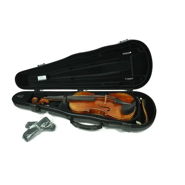 ESTUCHE VIOLÍN JAKOB WINTER GREENLINE JW52017 NEGRO