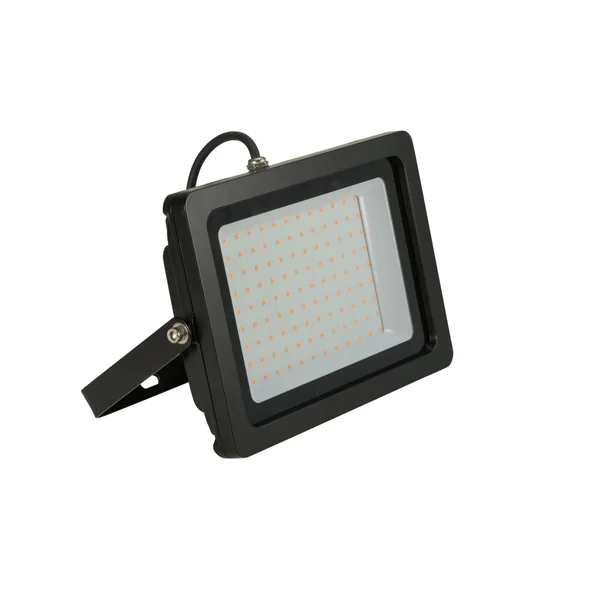 EUROLITE LED IP FL-100 SMD blue