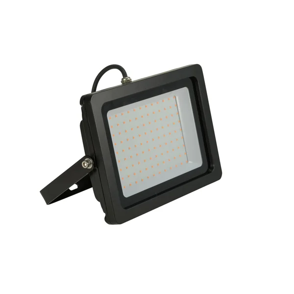 EUROLITE LED IP FL-100 SMD orange