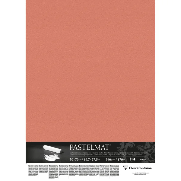 Feuille Pastelmat 50x70 cm 360g