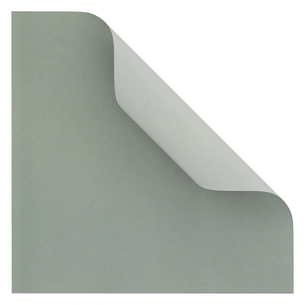Feuilles de pliage « Eucalyptus »