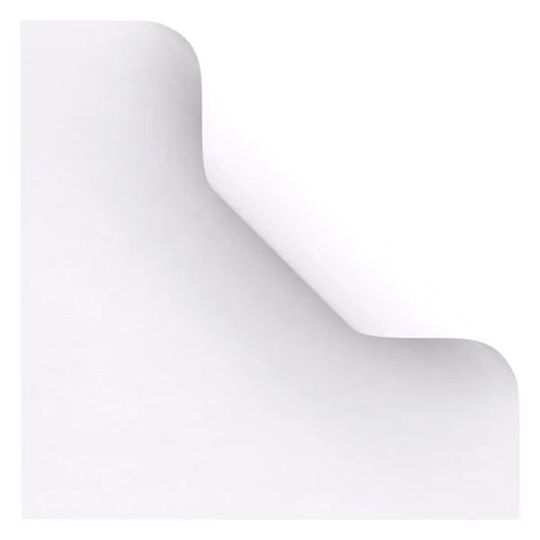 Feuilles de pliage « Eucalyptus »