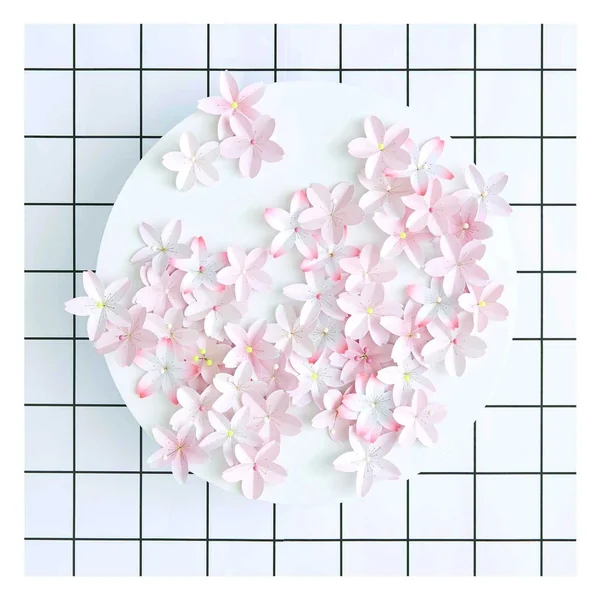 Fleurs en papier