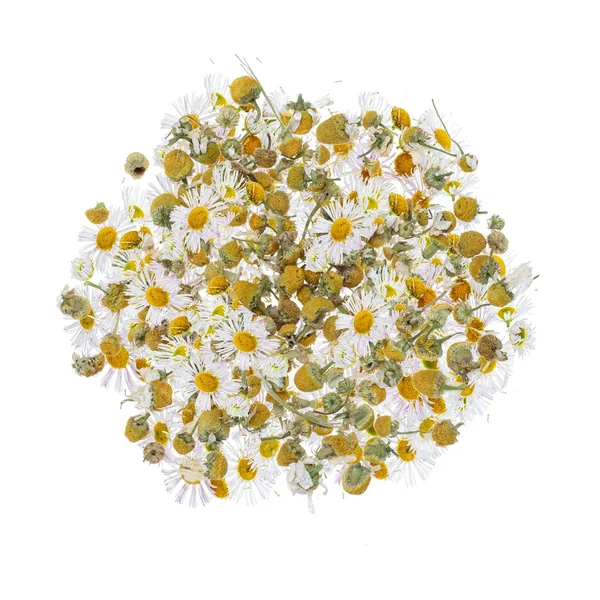 Fleurs, séchées