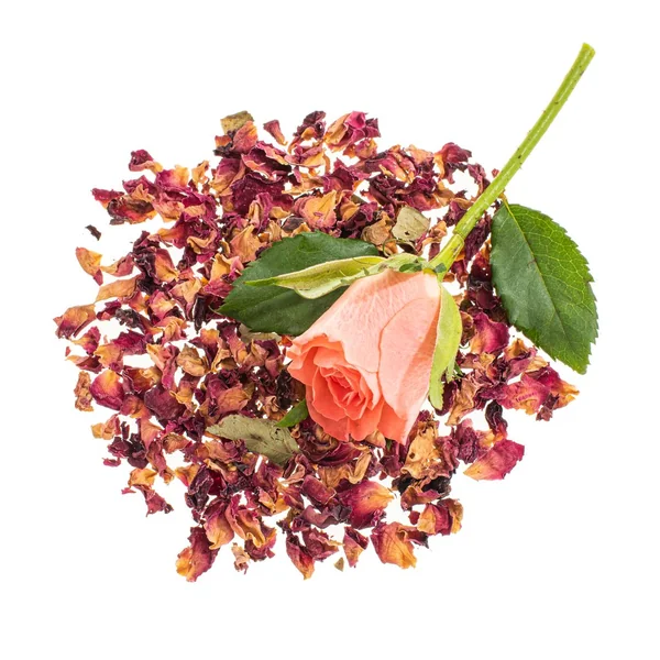 Fleurs, séchées
