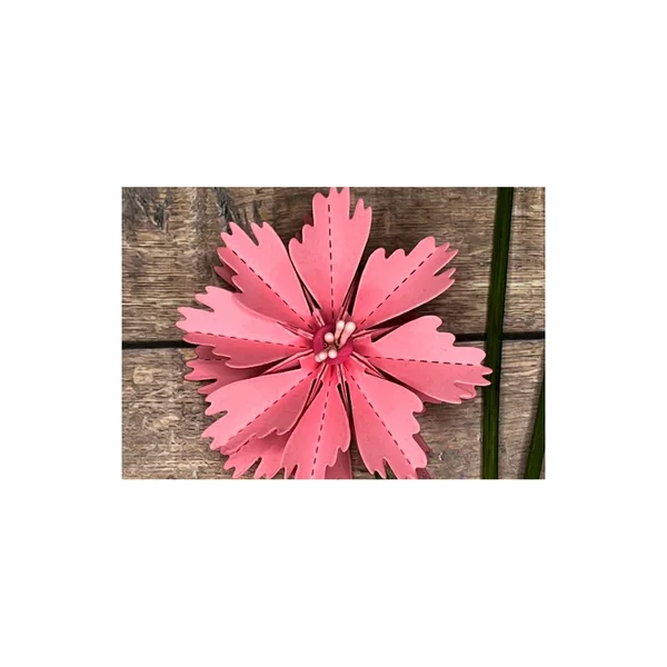 Gabarit de découpe pour fleurs à plier « Cosmea »