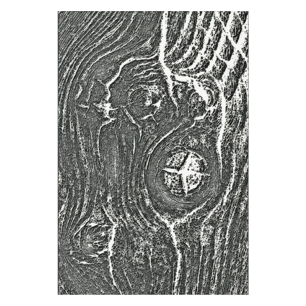 Gabarit d’embossage 3D Sizzix « Woodgrain by Tim Holtz »