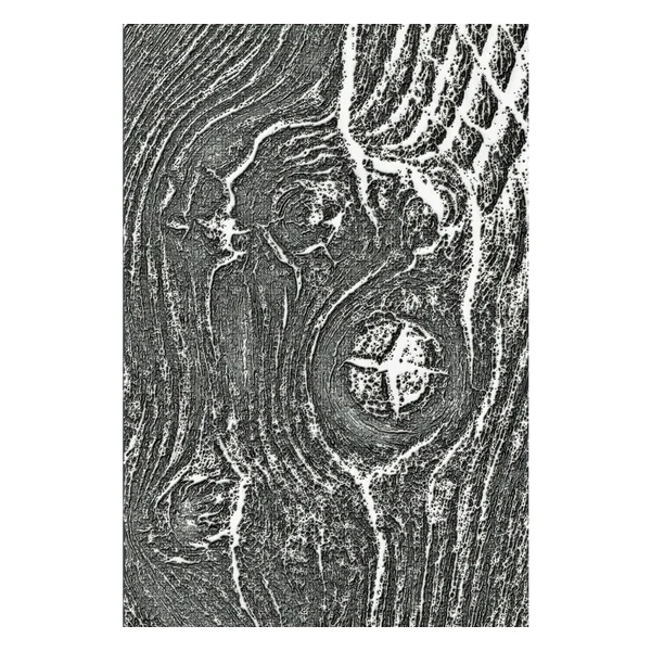 Gabarit d’embossage 3D Sizzix « Woodgrain by Tim Holtz »