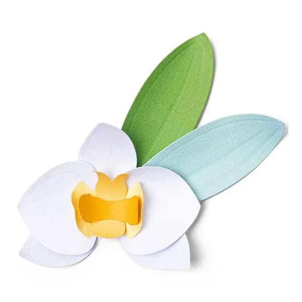 Gabarit d’estampe Sizzix Thinlits « Orchid »