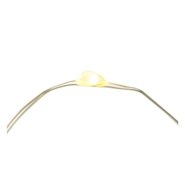Guirlande lumineuse micro-LED d'extérieur, avec télécommande, 100 LED